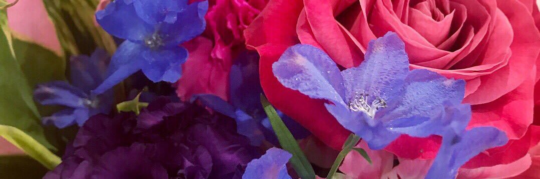 xm_posox's profile banner image