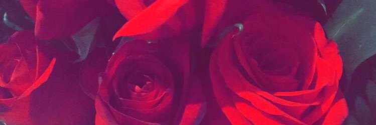 alergwan48's profile banner image