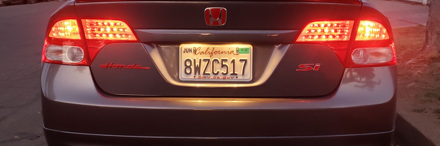 EL_CURLZ banner