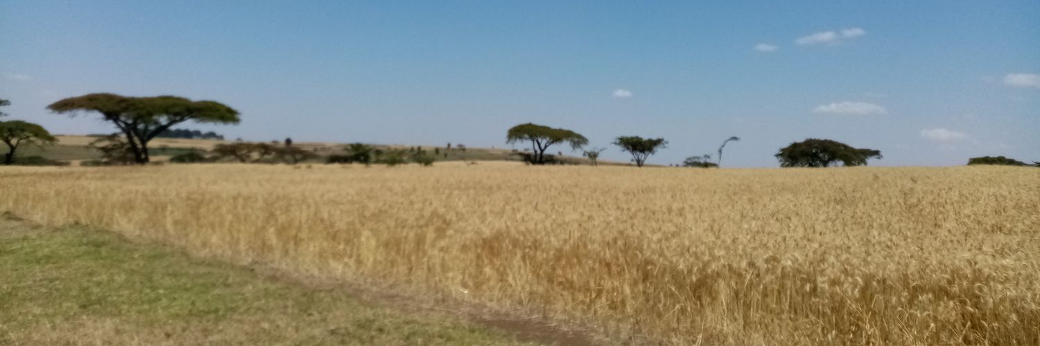 Patt Onyango banner