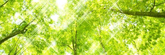 虹色BODY の 岩井さん banner