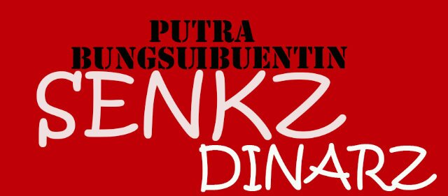 dsenkz's profile banner image
