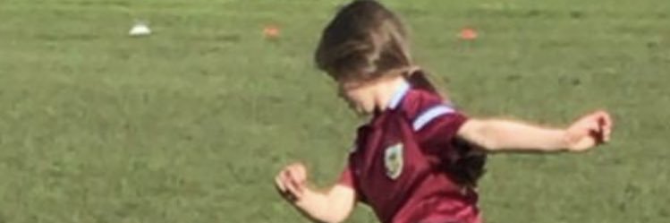 Steven Ireland banner