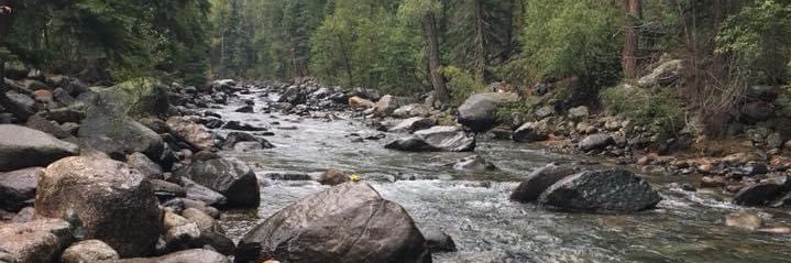 Susan Topmiller banner