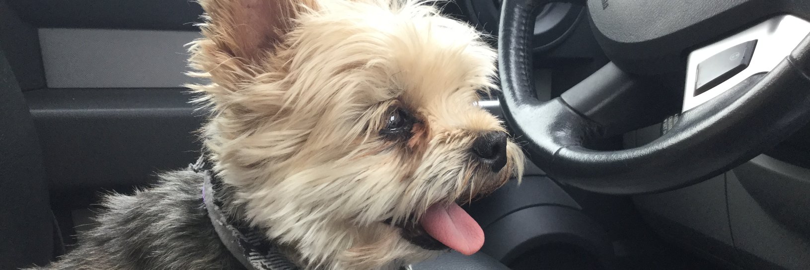 Derpin8r's profile banner image