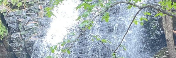 lynhicks Profile Banner