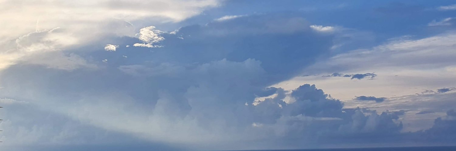 RoamingQuokka's profile banner image
