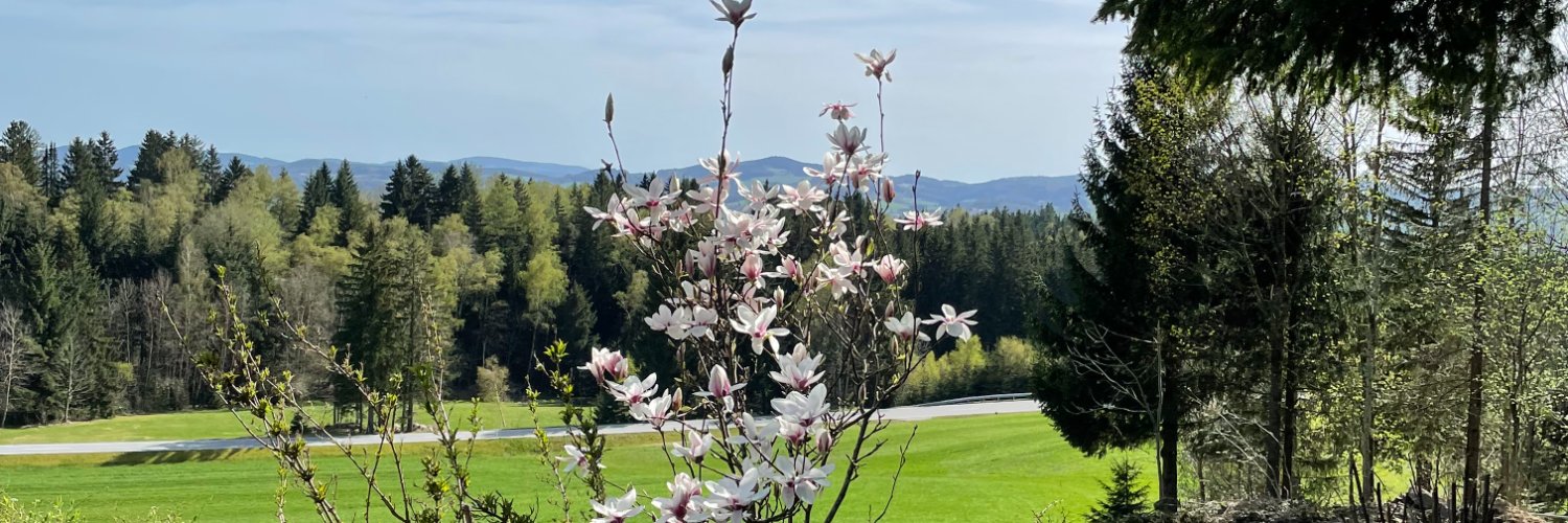 Eva Kempinger #Herzerwärmung statt #Erderwärmung. banner