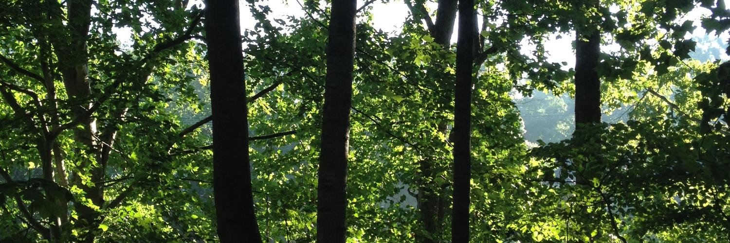 adwbeloved's profile banner image