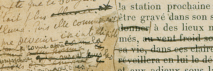 Eliza Apperly banner