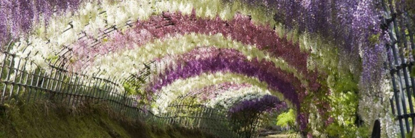 tetalbis's profile banner image