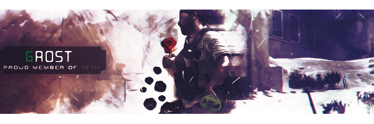 ZethGrost's profile banner image