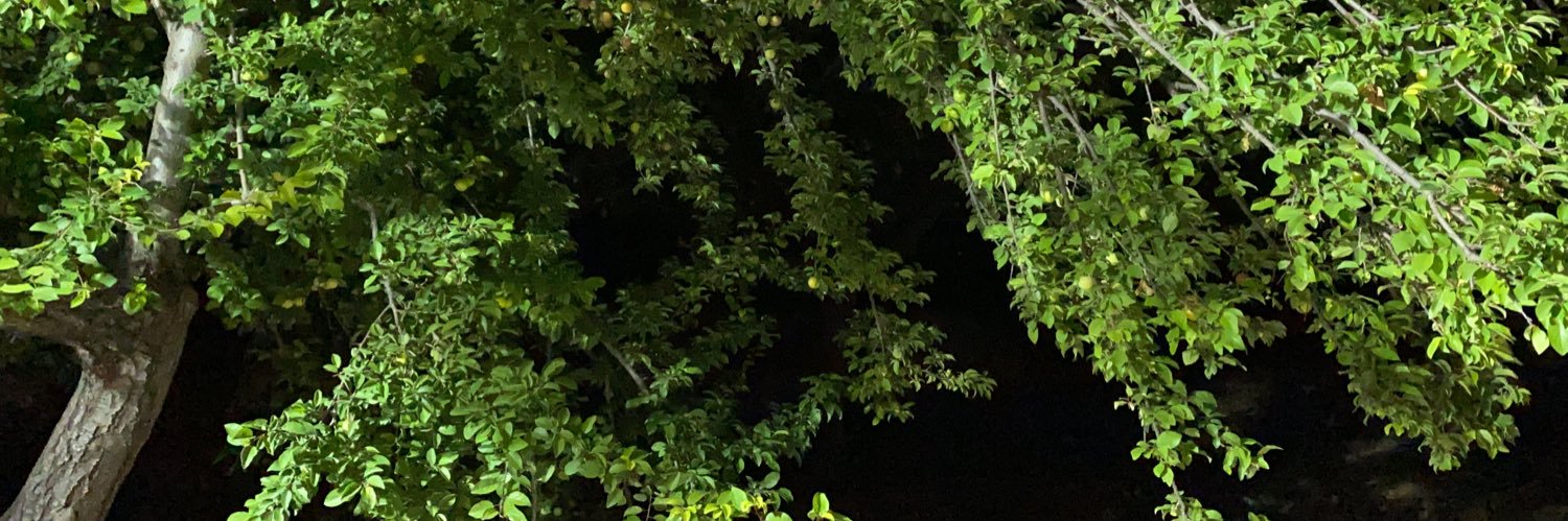 ismail baskin banner