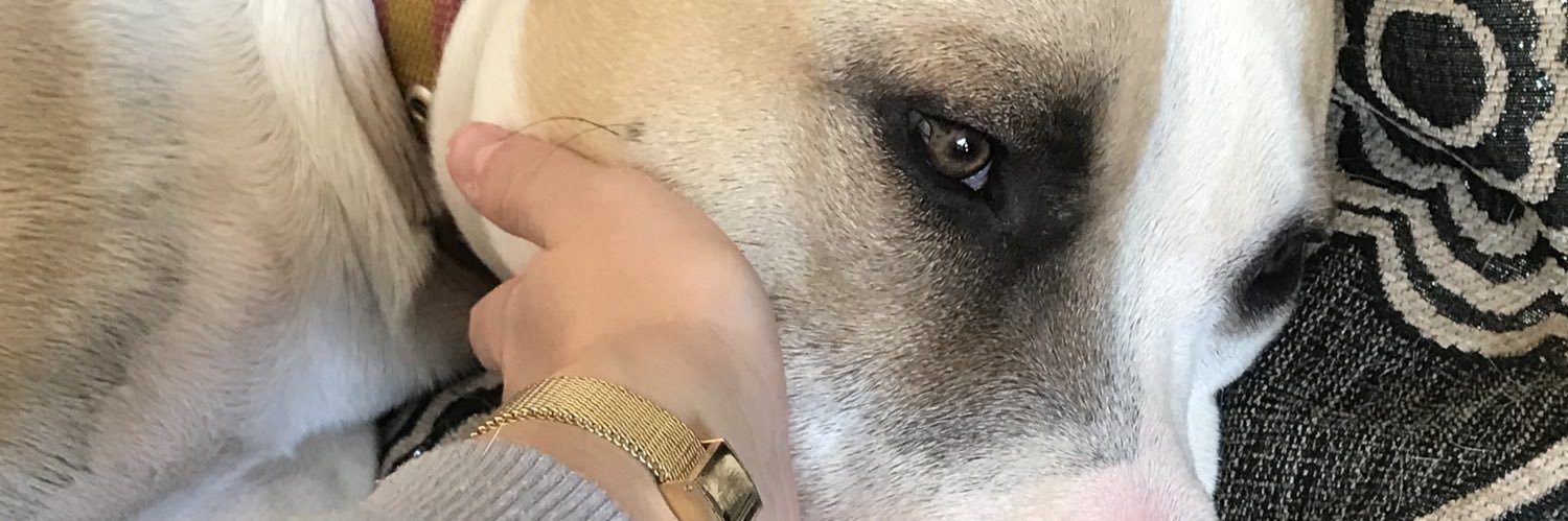 lidiaaaa____'s profile banner image