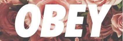 _ak_p_'s profile banner image