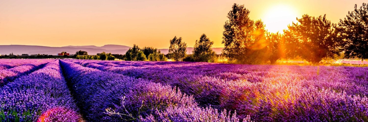 EMF_France's profile banner image