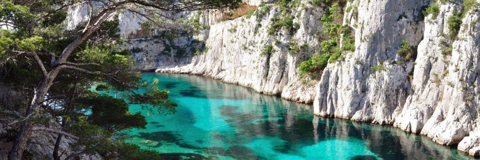 F. de Campredon banner