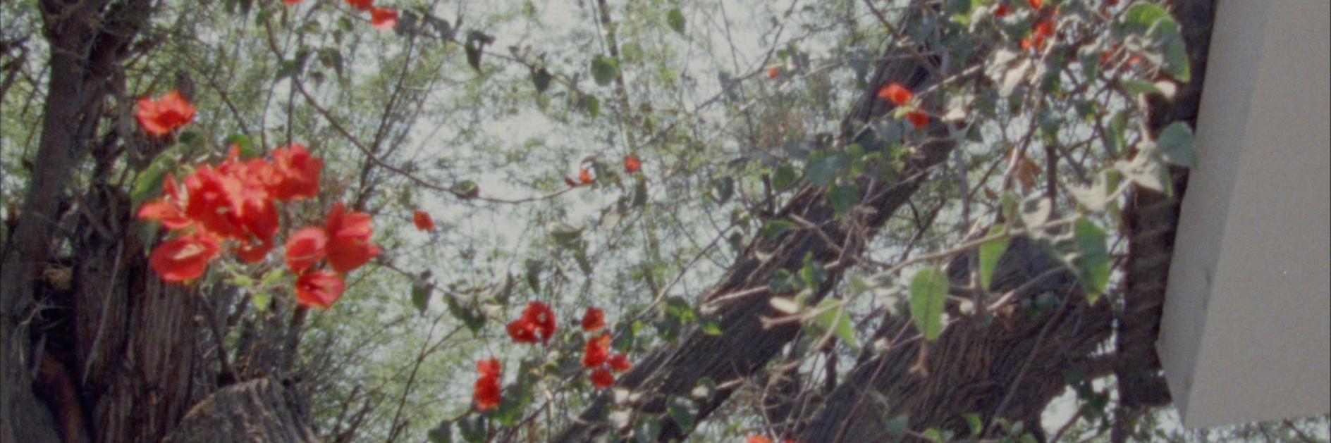 vanessacuharper's profile banner image