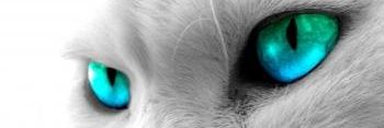 ulimahmud's profile banner image