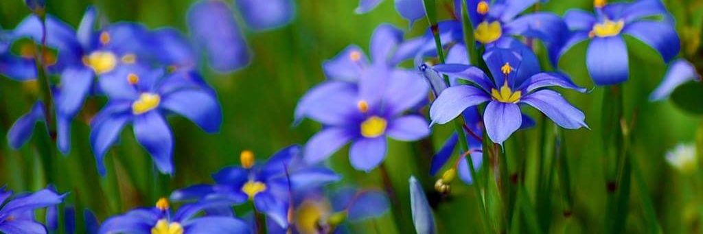 Safo_1234's profile banner image