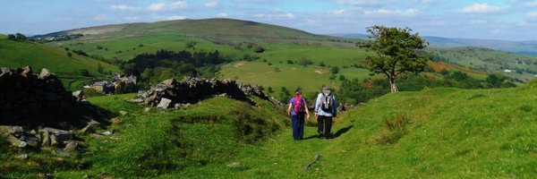 bowieda Profile Banner