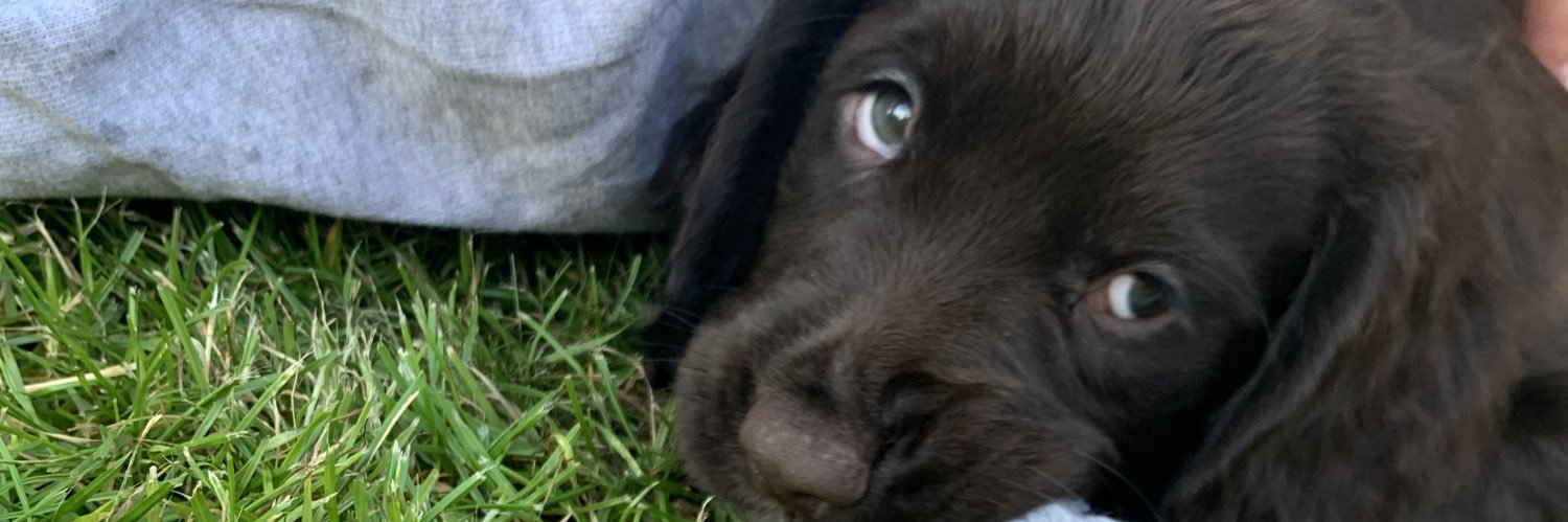 ellietaylor29's profile banner image
