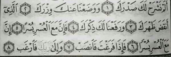 HadeerEzzat8's profile banner image