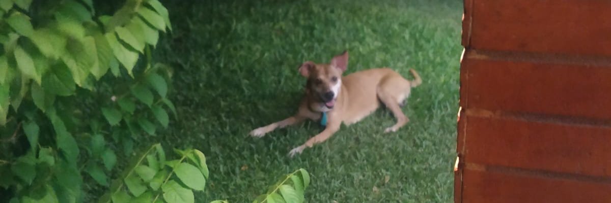 XdMoncho's profile banner image