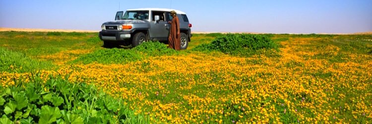 shamali1999's profile banner image