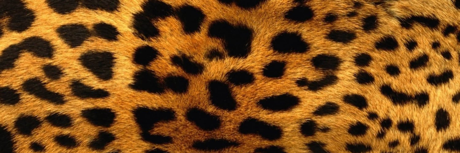 rocassidy_'s profile banner image