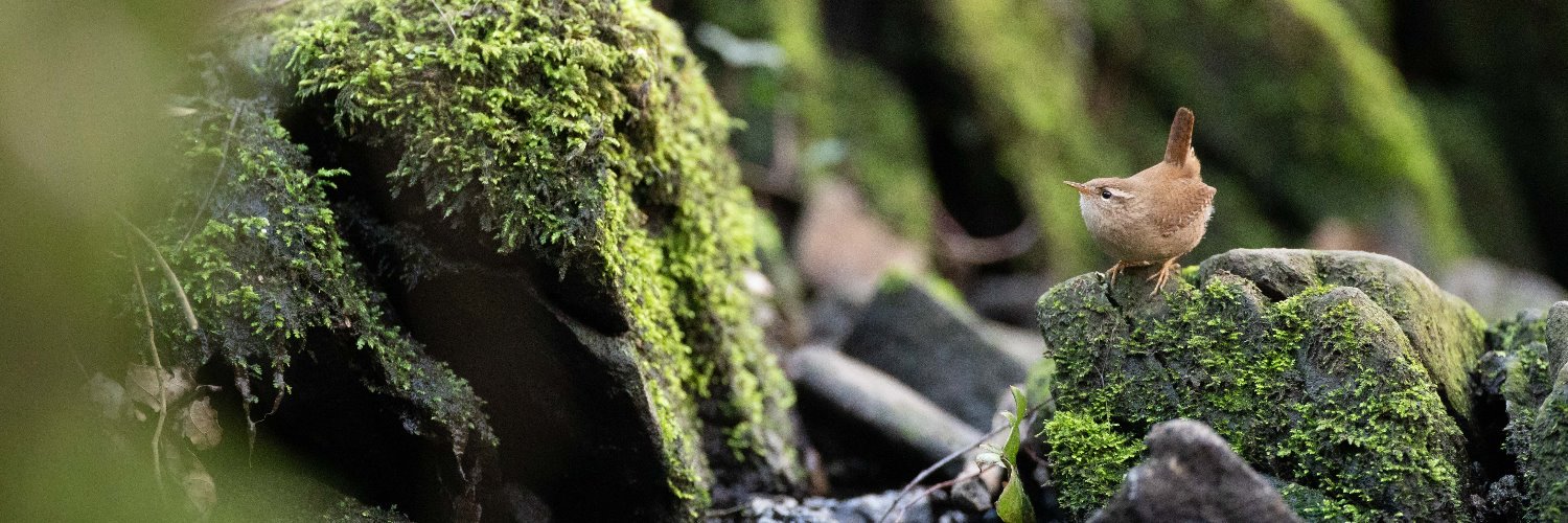 MattGould22's profile banner image