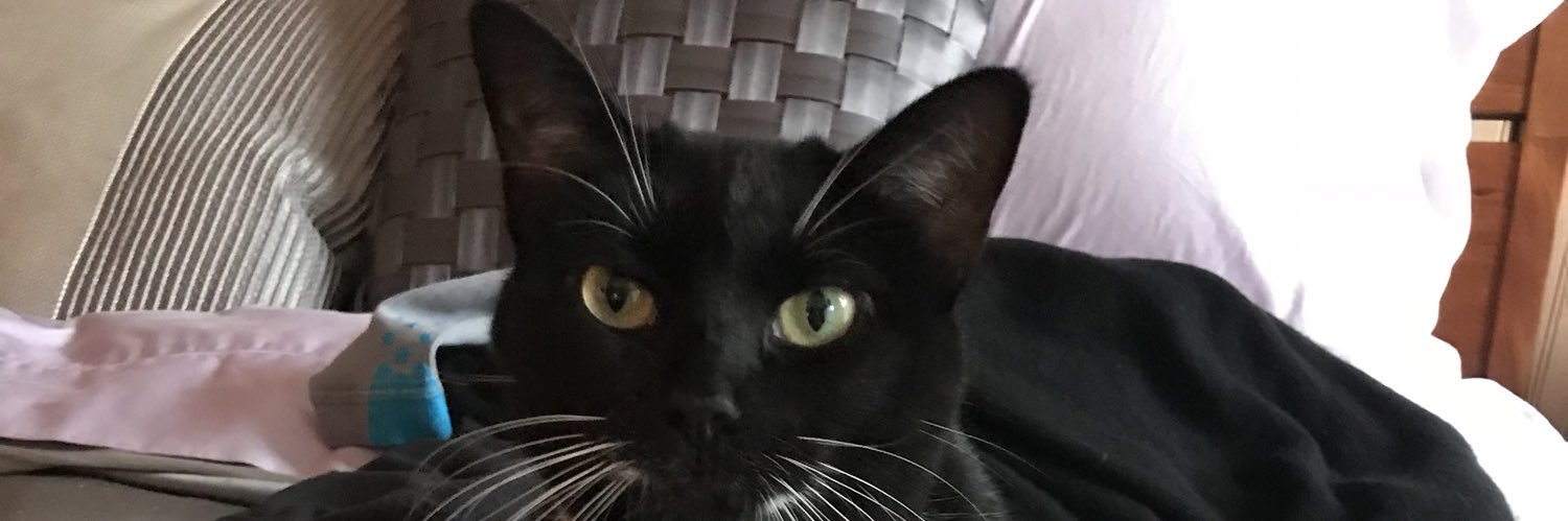 strangeboater's profile banner image