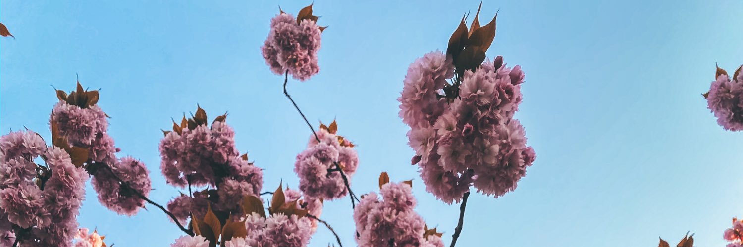 NatalieDeo's profile banner image