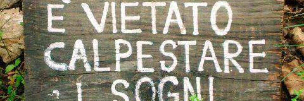 Daniela Turchetti banner