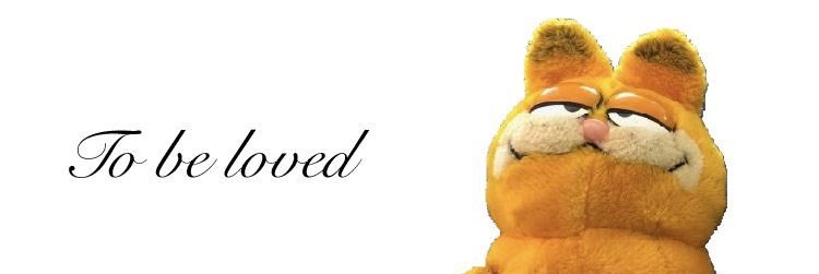 FranBNiCE's profile banner image