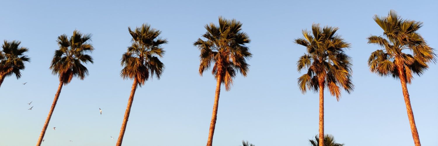 GAggarwalK's profile banner image