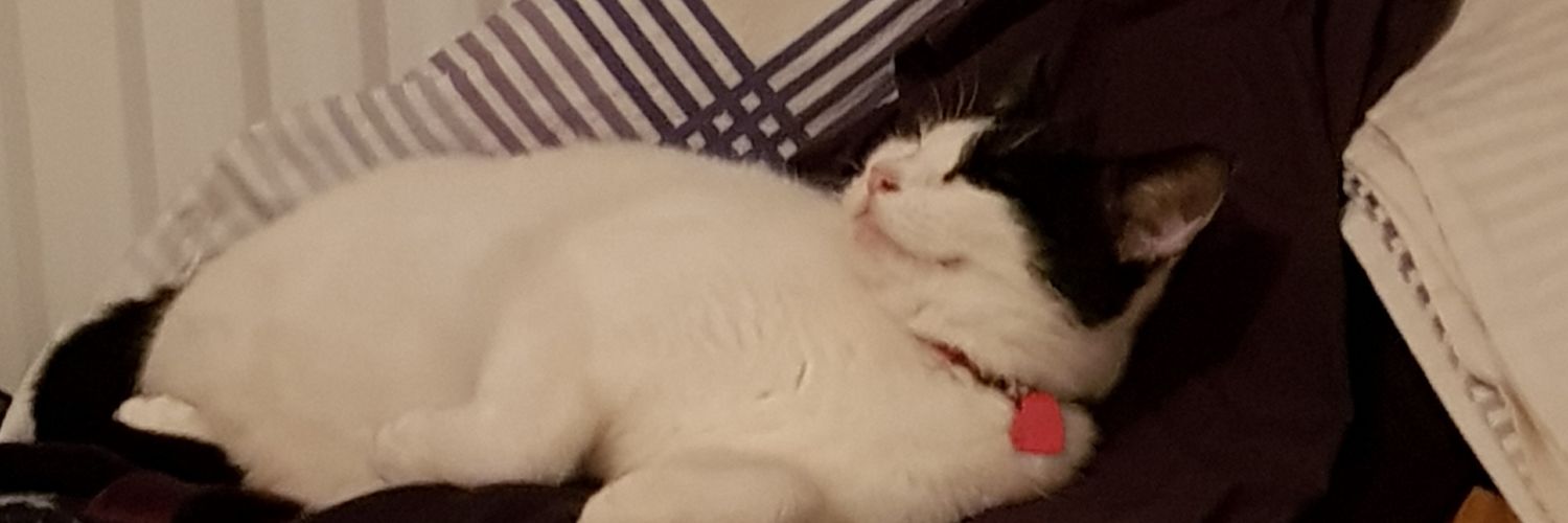 FinbarDS's profile banner image