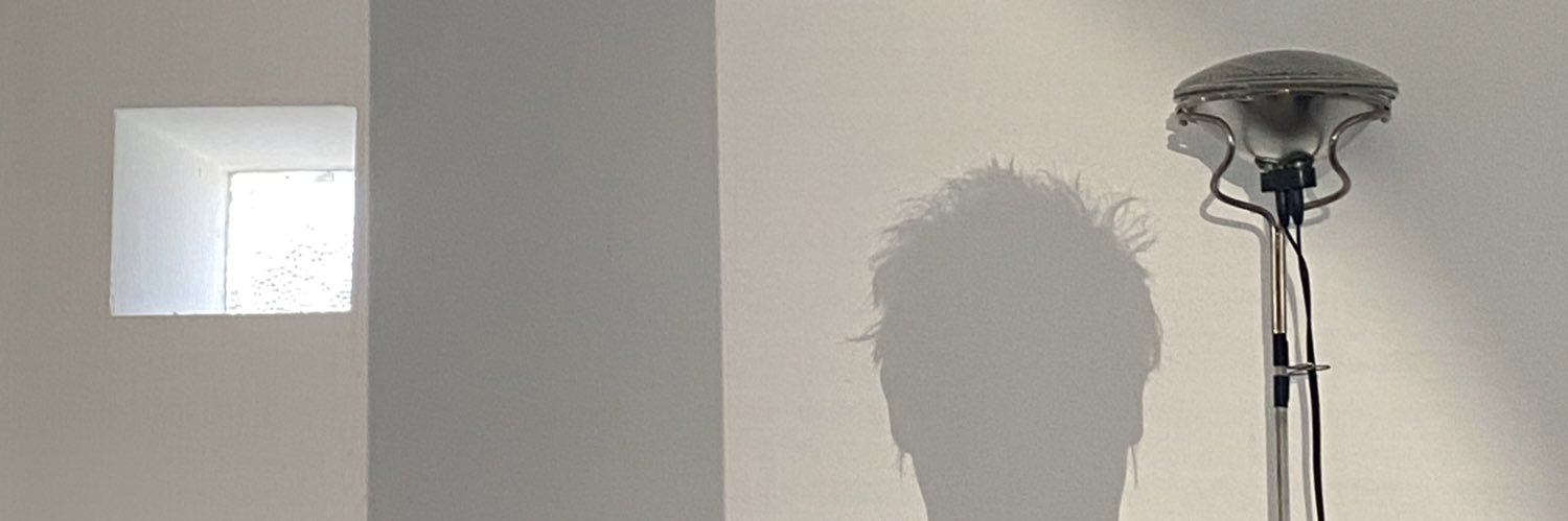 Shadow deputy prime minister of Leytonstone 🇫🇷 banner