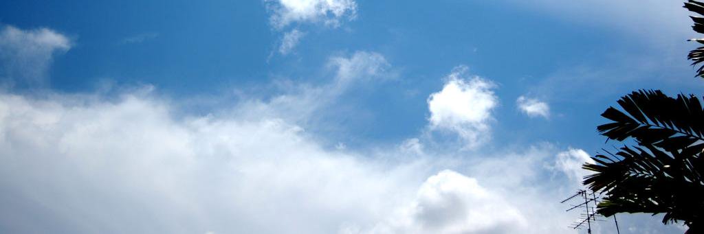 Miyug7's profile banner image