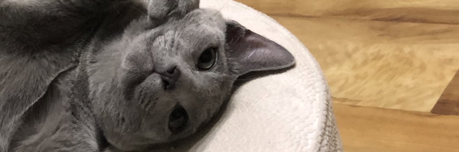 ejayyjj's profile banner image