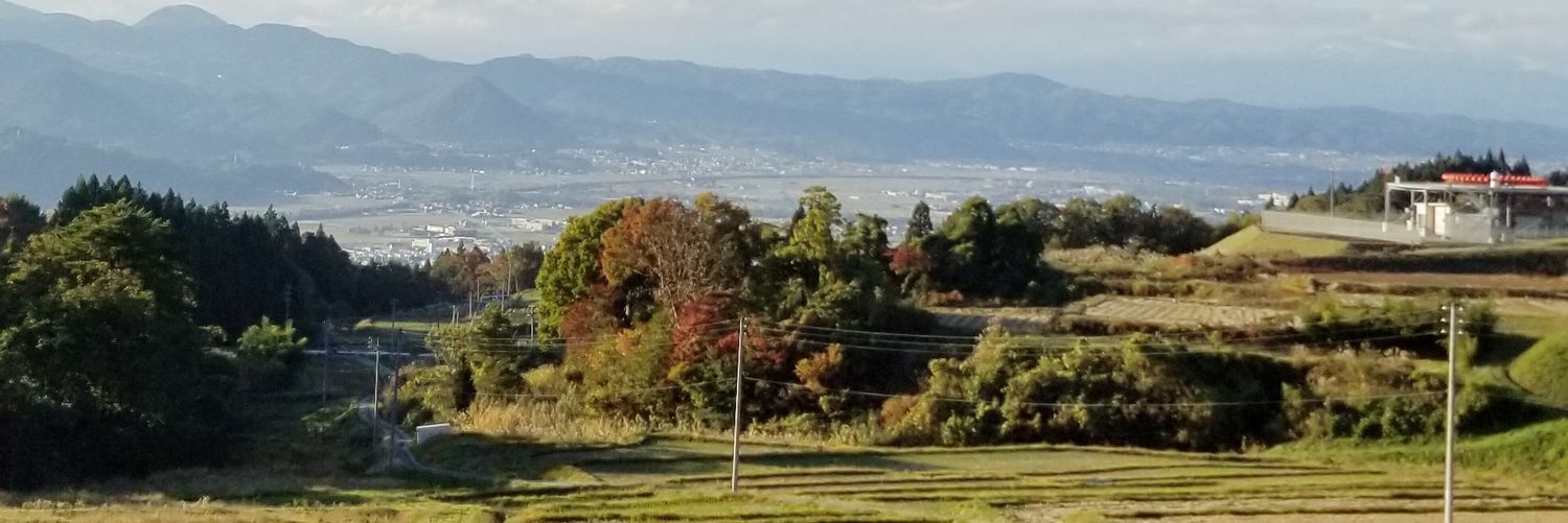 生肉の盛合わせ(´･ω･｀) banner