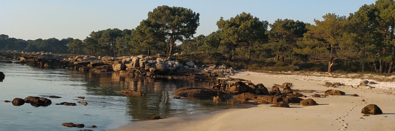 itxgt_'s profile banner image