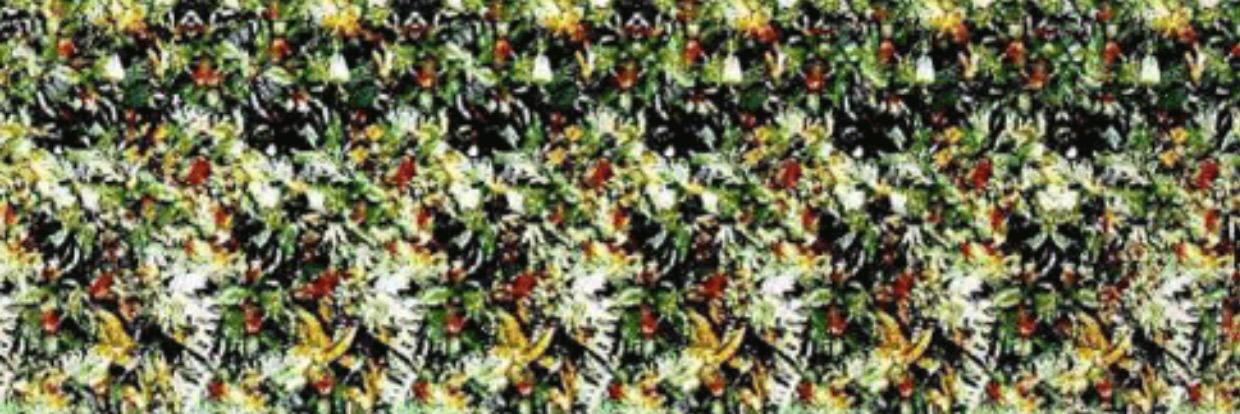 serhat_subasi's profile banner image