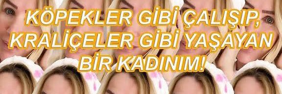 zkocrr's profile banner image