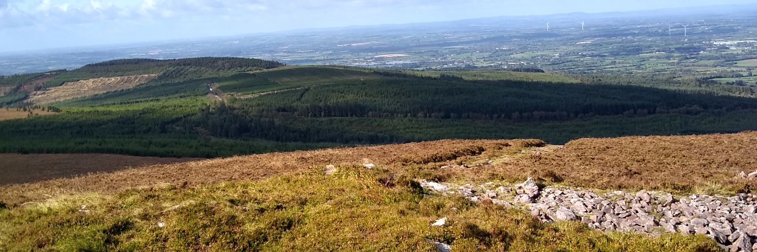 BarryGarvey's profile banner image