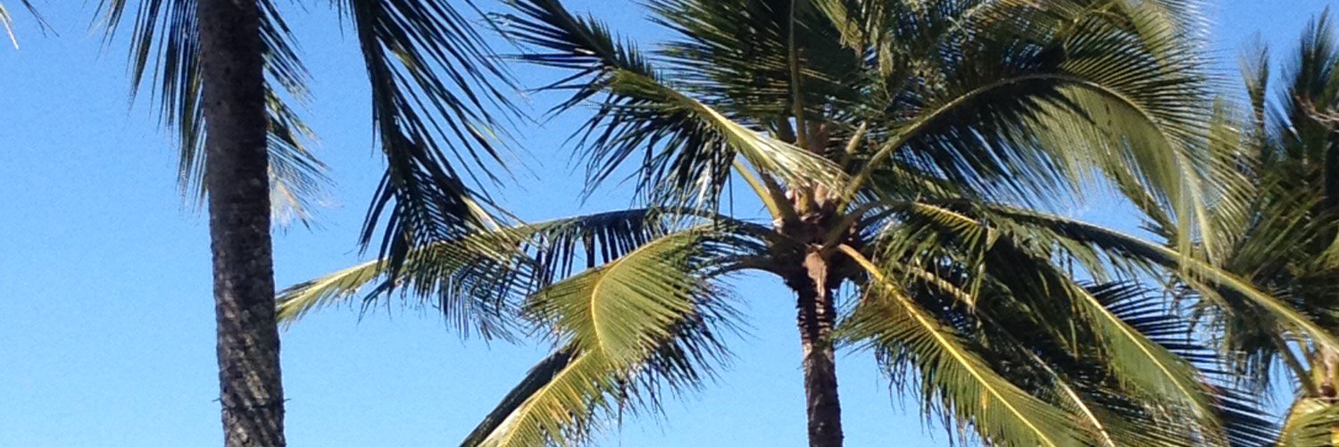 MellissaBrumley's profile banner image