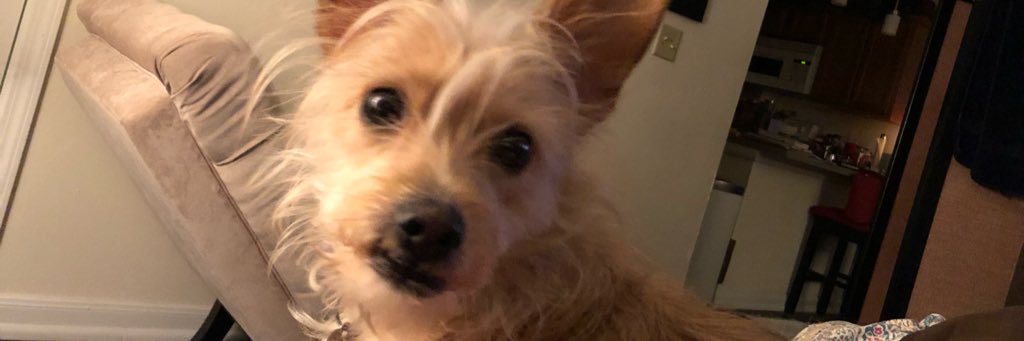 wingnutcroy's profile banner image