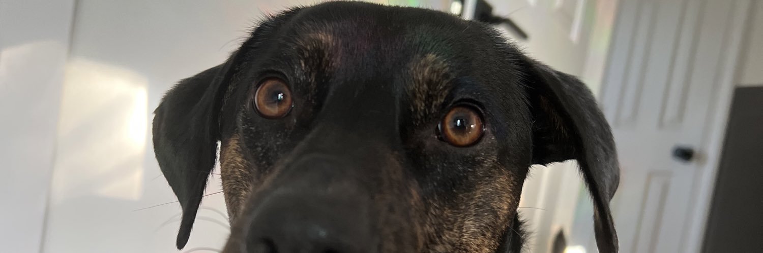 tye_frye's profile banner image