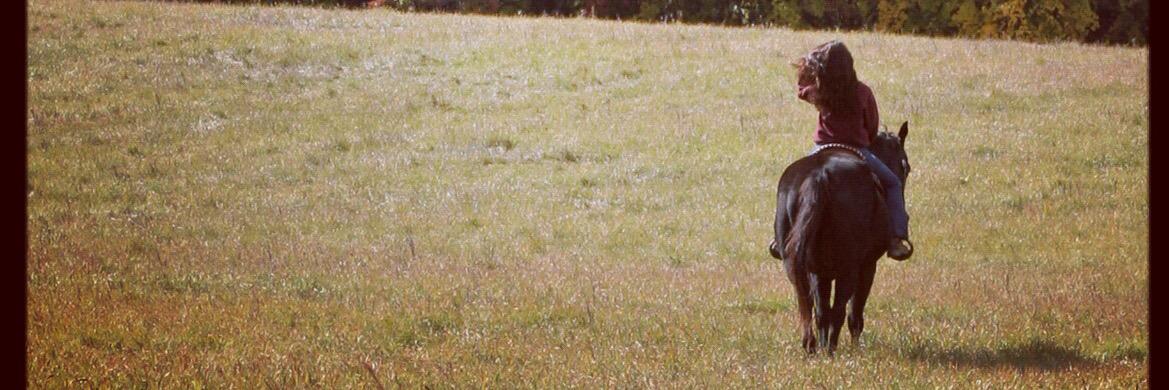 FieldMorgan's profile banner image