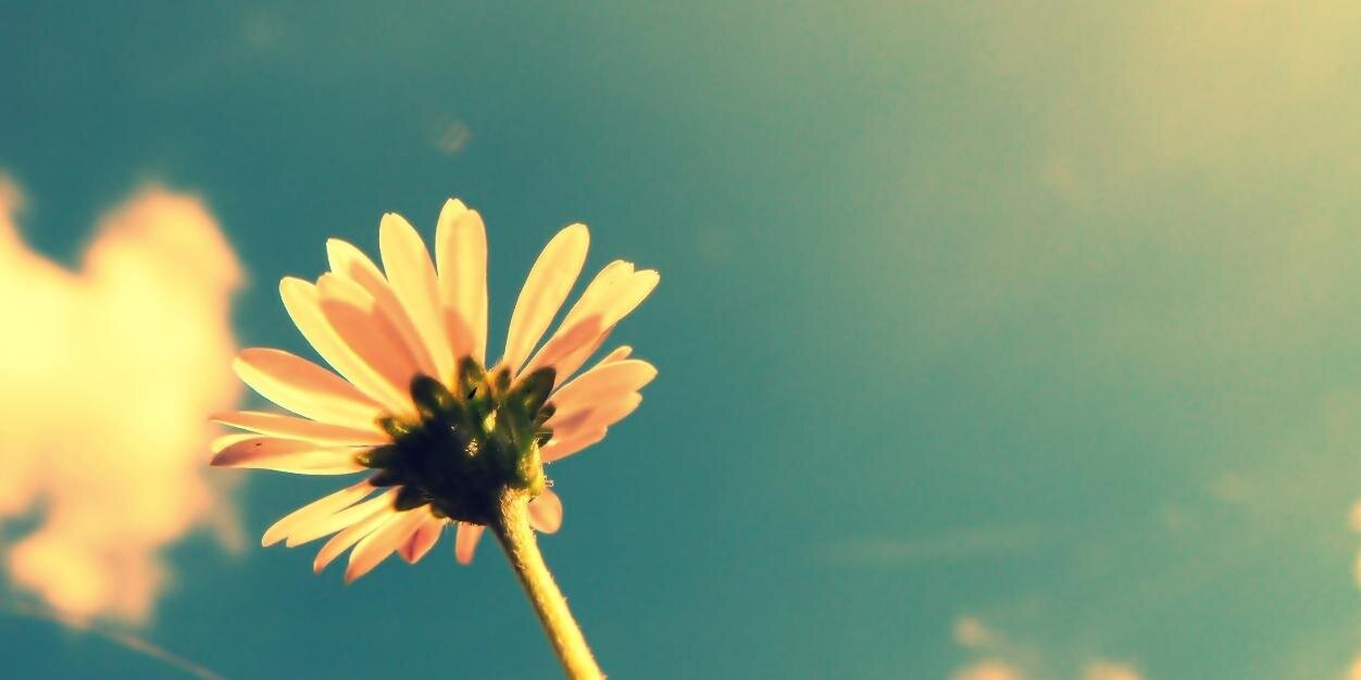 anisskn's profile banner image